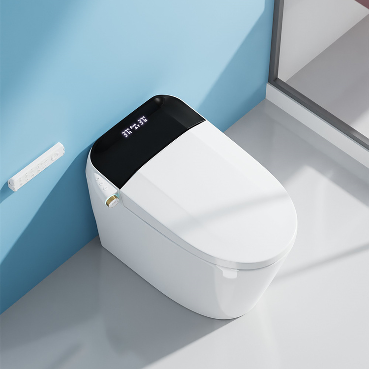 مرحاض ذكي للحمام مع نظام شطف ت - مراجعة Home In Bathroom وسعره