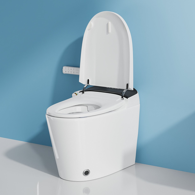 مرحاض ذكي للحمام مع نظام شطف ت - مراجعة Home In Bathroom وسعره