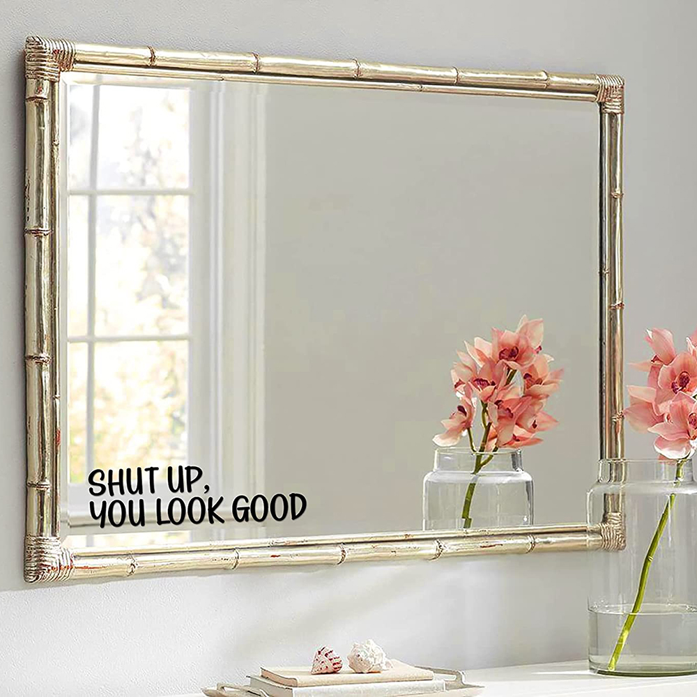 Sh*t UP تبدو جيدة إقتباس مرآة  - مراجعة Home Goods Bathroom Mirrors وسعره