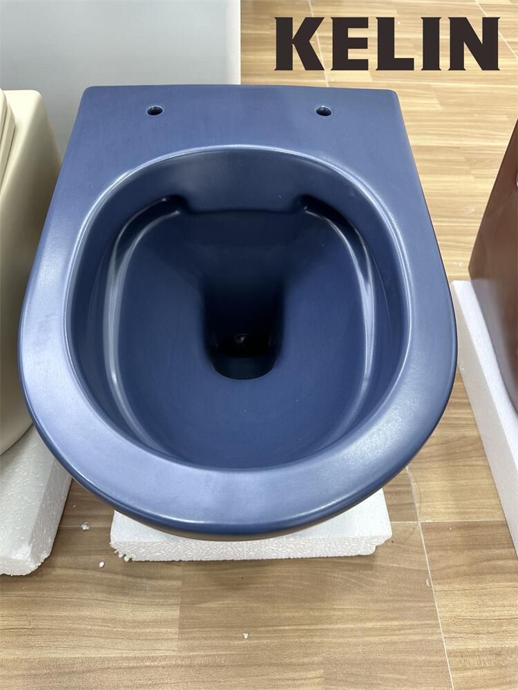 مرحاض كهربائي معلق على الحائط  - مراجعة Home In Bathroom وسعره